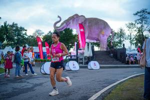 BIB: 
                            <button type="button" onclick="openModal(26551717)" class="btn btn-primary btn-sm float-right btn-popup" data-toggle="modal" data-target=".modal-high-quality">
                        <i class="fas fa-shopping-cart"></i> Add to Cart
                    </button>
                                            <button type="button" onclick="isThisMe(26551717, true)" class="btn btn-success btn-sm float-right btn-popup btn-isme hidden" data-toggle="tooltip" data-placement="bottom" title="นี่คือรูปของคุณใช่ไหม คลิกที่นี่เพื่อเอาเข้าอัลบั้ม">
                        <i class="fas fa-plus"></i> Add to album
                    </button>
                    <button type="button" onclick="isThisMe(26551717, false)" class="btn btn-warning btn-sm float-right btn-popup btn-isnotme hidden">
                        <i class="fas fa-ban"></i> Remove from album
                    </button>